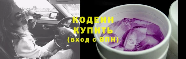 гашик Гусиноозёрск