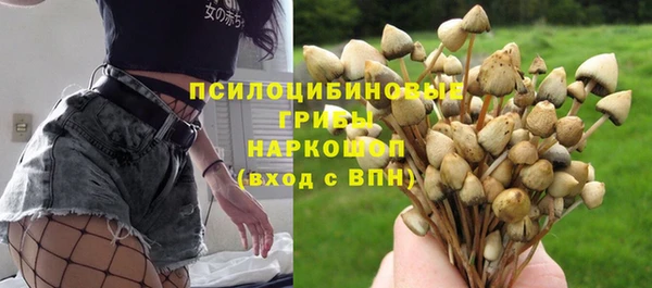 МДПВ Гусь-Хрустальный