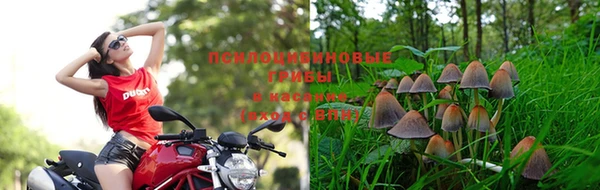гашик Гусиноозёрск