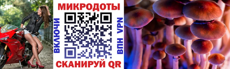 как найти наркотики  Далматово  Галлюциногенные грибы прущие грибы 